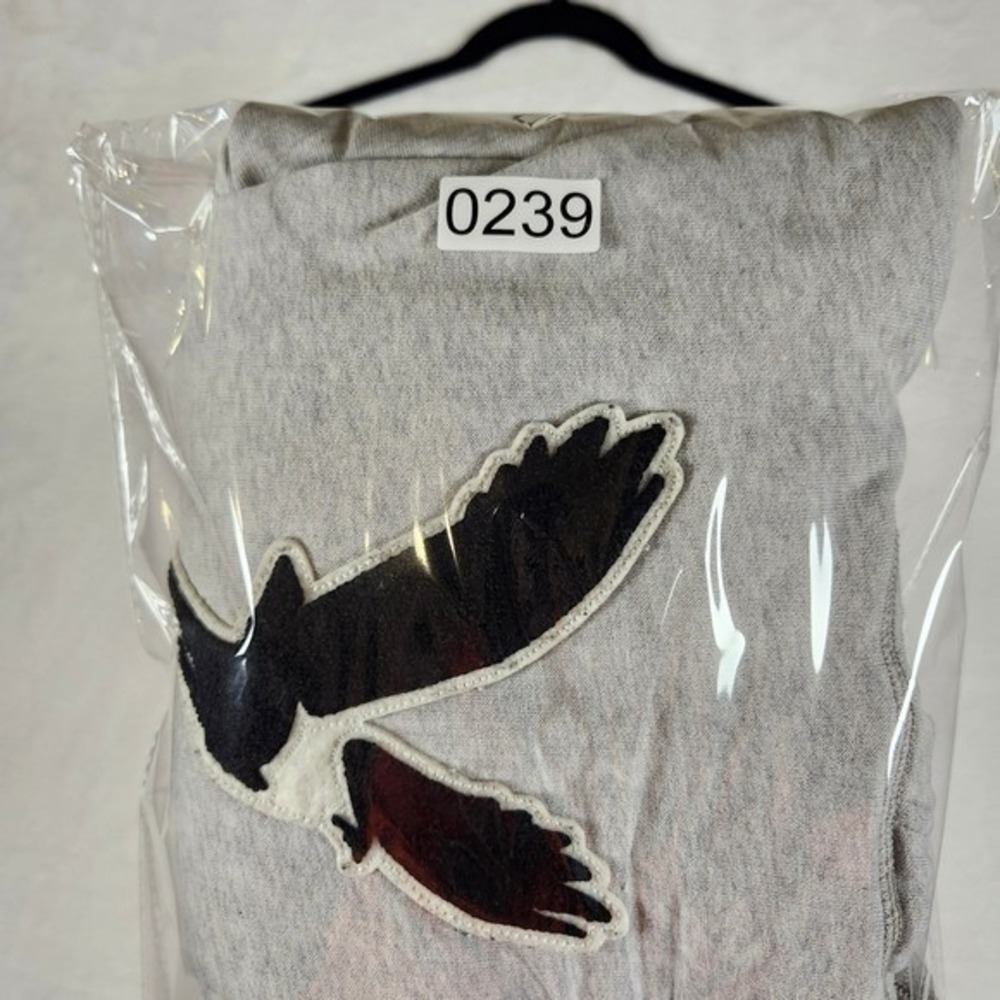 American Eagle Outfitters Hoodie Gray Bird Logo Pullover Sweatshirt Mens M - Picture 11 of 11